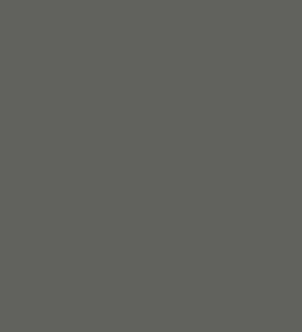 Lava grey - Polymer doors Matt | IDOORS